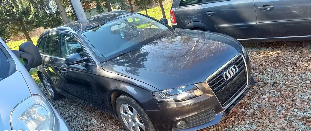 audi a4 podkarpackie Audi A4 cena 25900 przebieg: 240000, rok produkcji 2008 z Brzostek